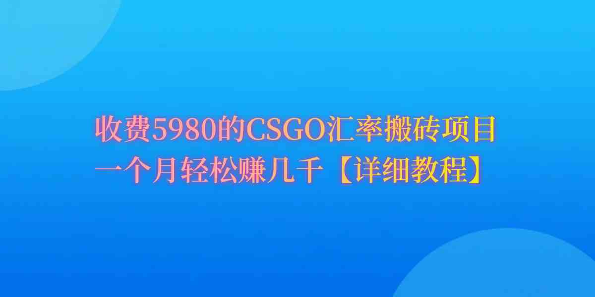（9776期）CSGO装备搬砖，月综合收益率高达60%，你也可以！-自学资料及项目