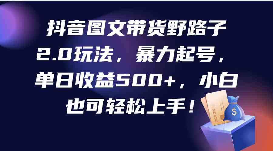 （9790期）抖音图文带货野路子2.0玩法，暴力起号，单日收益500+，小白也可轻松上手！-自学资料及项目