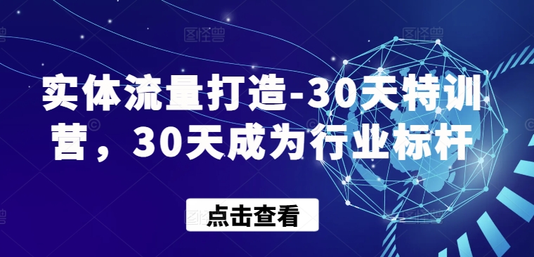 实体流量打造-30天特训营，30天成为行业标杆-自学资料及项目